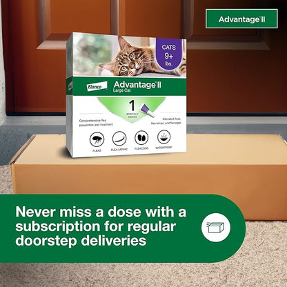 Advantage II Large Cat Vet-Recommended Flea Treatment &amp; Prevention | Cats Over 9 lbs. | 1-Month Supply