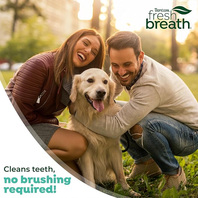 TropiClean Oral Care Brushing Gel for Dogs &amp; Cats| Dog Toothpaste | Pet Dental Gel | Dog Teeth Cleaning Use with Pet Toothbrush | 2 oz