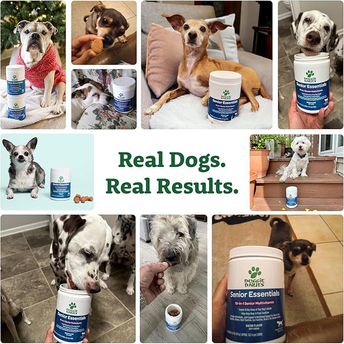 Doggie Dailies Senior Essentials Multivitamin for Dogs Soft Chews | Advanced Dog Multivitamin | Nutritional Support for Joints, Skin &amp; Coat, Digestion, and the Immune System | Bacon Flavor | 120 Count