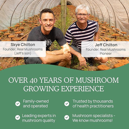 Real Mushrooms 5 Defenders Mushroom Complex Powder – Organic Mushrooms Extract from Chaga, Reishi, Turkey Tail, Maitake &amp; Shiitake Mushroom Blend for Wellness Support with Beta Glucans - 100 Servings