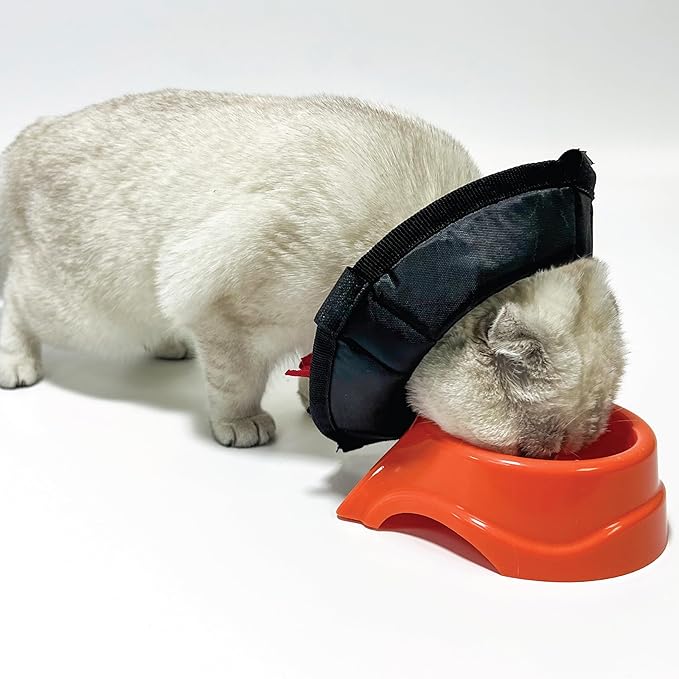 Cat Cone Collar - Soft Adjustable Cat Elizabethan Healing Collar – Lightweight Wound‑Protection Neck Cone for Licking/Biting Prevention, Fits Neck 6.5″–10.5″, Ideal Post‑Surgery &amp; Injury Care