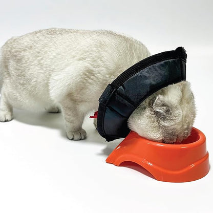 Cat Cone Collar - Soft Adjustable Cat Elizabethan Healing Collar – Lightweight Wound‑Protection Neck Cone for Licking/Biting Prevention, Fits Neck 6.5″–10.5″, Ideal Post‑Surgery &amp; Injury Care