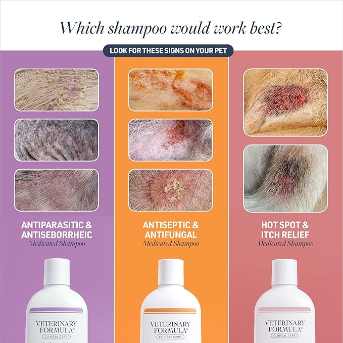 Veterinary Formula Clinical Care Antiseptic and Antifungal Medicated Shampoo for Dogs &amp; Cats, 16 Fl Oz – Helps Alleviate Scaly, Greasy, red Skin – Paraben, Dye, Soap-Free (2 Pack)