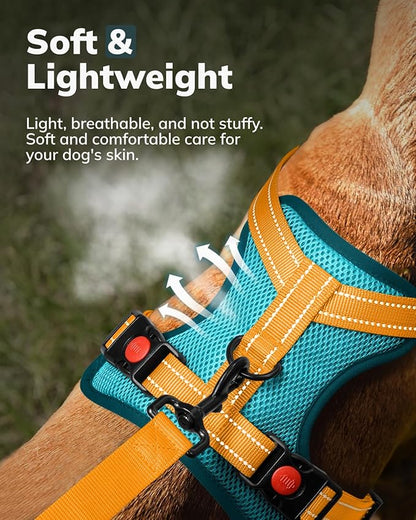 MIDOG No-Pull Dog Harness | Adjustable &amp; Reflective Pet Harness Leash Set for Small Medium Large Dogs Walking, Training| No Choke, Front Clip, Soft Padded Vest with Easy Control Handle - Blue, XS