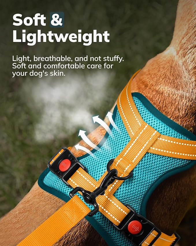 MIDOG No-Pull Dog Harness | Adjustable &amp; Reflective Pet Harness Leash Set for Small Medium Large Dogs Walking, Training| No Choke, Front Clip, Soft Padded Vest with Easy Control Handle - Blue, XL