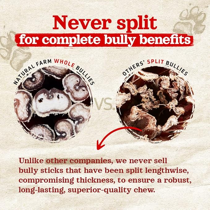 Natural Farm Odor-Free Thick Bully Sticks (12”, 5-Pack) All-Natural Long-Lasting Dog Chews, 100% Beef Pizzle, Grass-Fed, Grain-Free, Protein for Muscle Development &amp; Energy, Perfect for Large Dogs
