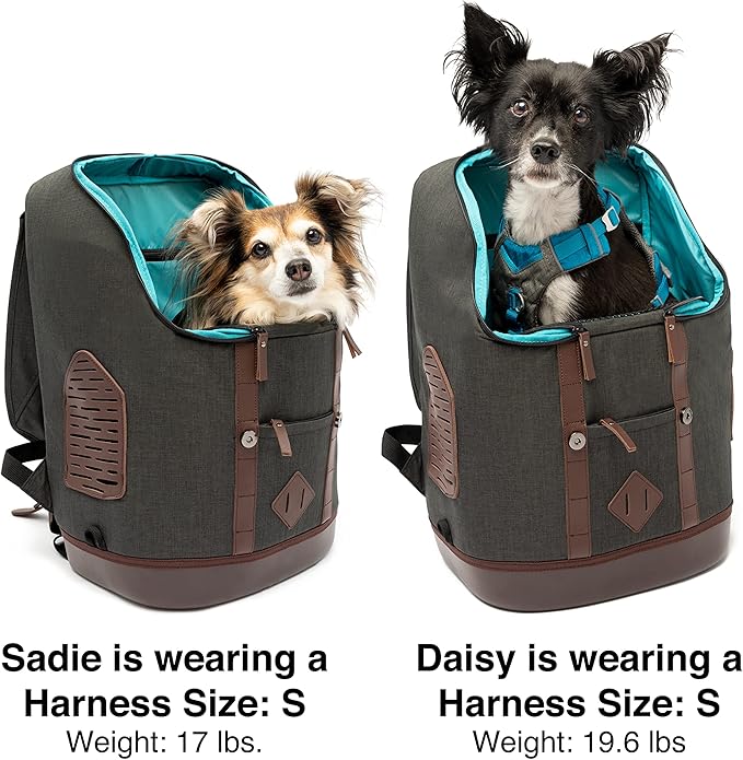 Kurgo Dog Carrier Backpack for Small Pets - Dogs &amp; Cats | Cat | Hiking or Travel | Waterproof Bottom | K9 Ruck Sack (Heather Black)