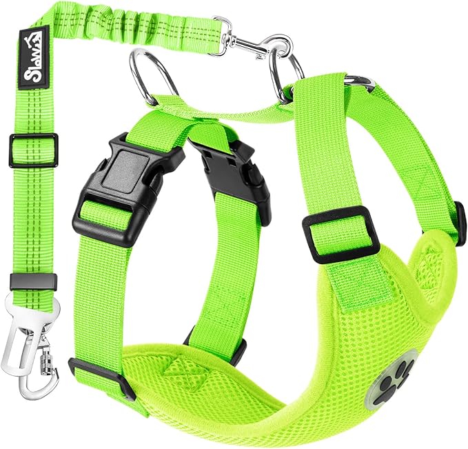 Lukovee Dog Seat Belt for Car, Adjustable Dog Car Harness for Large Medium Small Dogs, Soft Padded &amp; Breathable Mesh Dog Seatbelt with Car Strap and Carabiner(Lime Green Double Clip,Medium)