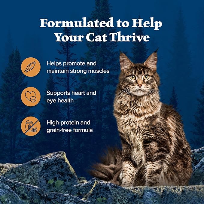 Blue Buffalo Wilderness Wild Delights Minced Natural Wet Cat Food, Chicken &amp; Turkey in Tasty Gravy, 5.5-oz. Cans, 24-Pack