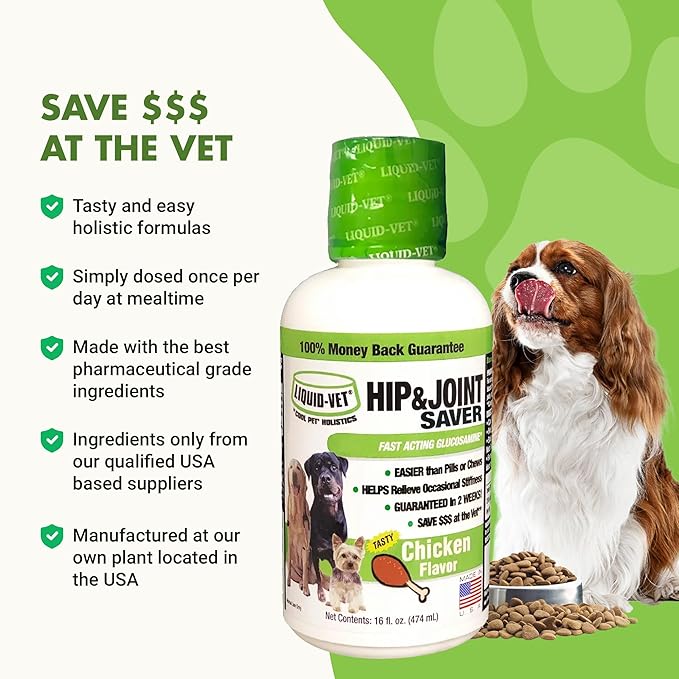 K9 Hip &amp; Joint Saver, Chicken, 16 oz