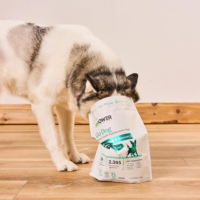 K9 Power Go Dog Hydration &amp; Performance Drink Mix 1 lb - Active Dog Supplement for Muscle Function, Endurance, Recovery, with Electrolytes Support