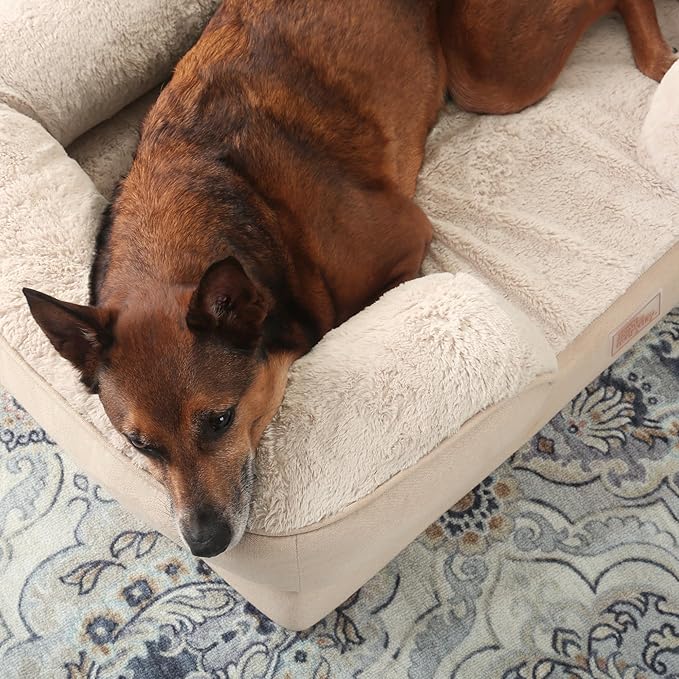 TOWN &amp; COUNTRY EVERYDAY CuddleTown Comfy Solid Bolster Sofa Pet Bed, Supportive &amp; Calming Egg Crate Foam, Non-Slip Bottom, Machine Washable Cover, Beige, Medium 28"x23"x8"