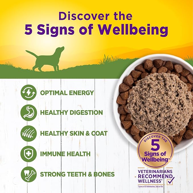 Wellness Complete Health Natural Wet Canned Dog Food, Lamb &amp; Sweet Potato, 12.5-Ounce Can (Pack of 12)