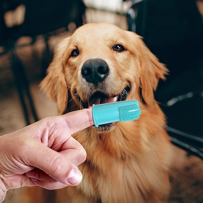 Professional Dog Finger Toothbrush by H&amp;H Pets,Pack of 4