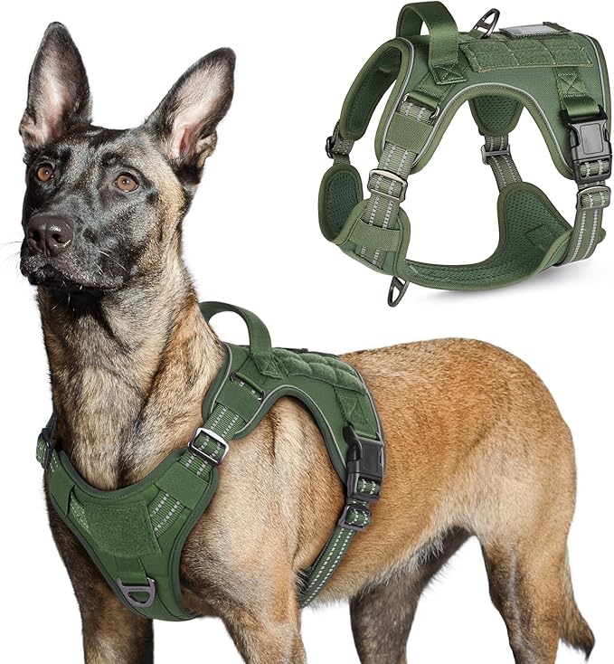 rabbitgoo Tactical Dog Harness for Large Dogs, No Pull Military Service Vest with Handle &amp; Molle, Easy Control for Training Walking, Adjustable Reflective Straps, Green, L