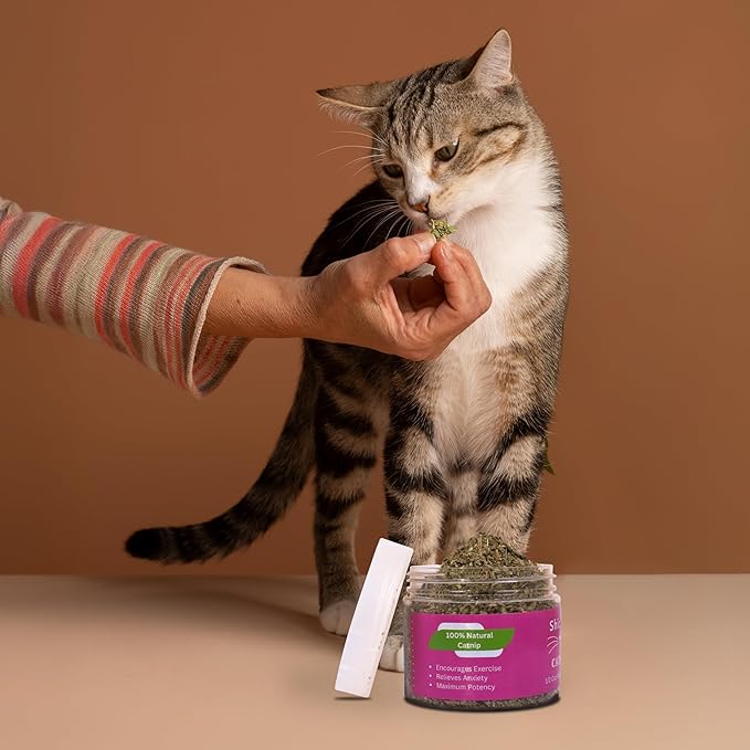 Catnip for Cats with Leaves and Flowers 100% Natural and Organic Catnip Premium Cat Nip for Cats &amp; Kittens Used as a Snack or Refillable Catnip Treats for Cats (1/2 Cup, 2 Ounces)