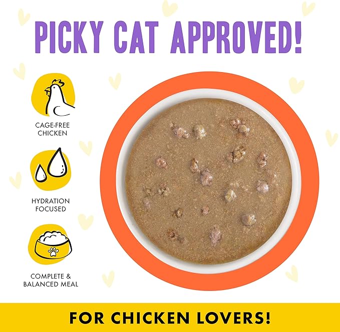 Weruva B.F.F. OMG - Best Feline Friend Oh My Gravy!, Chicken &amp; Salmon Shine Bright with Chicken &amp; Salmon in Gravy, 2.8oz Pouch (Pack of 12)