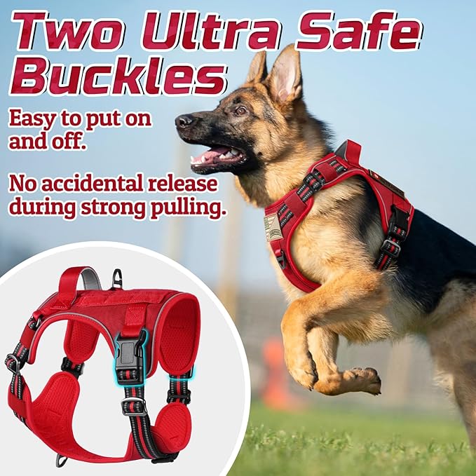 rabbitgoo Tactical Dog Harness Medium Sized Dog, No Pull Military Service Vest with Handle &amp; Molle, Easy Control for Training Walking, Adjustable Reflective Straps, Red, M