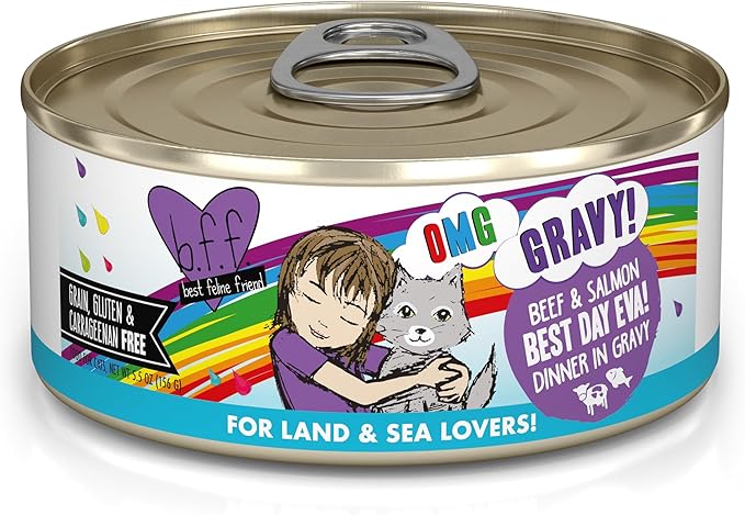Weruva B.F.F. OMG - Best Feline Friend Oh My Gravy!, Best Day Eva! with Beef &amp; Salmon in Gravy Cat Food, 5.5oz Can (Pack of 8)