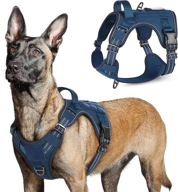 rabbitgoo Tactical Dog Harness for Large Dogs, No Pull Military Service Vest with Handle &amp; Molle, Easy Control for Training Walking, Adjustable Reflective Straps, Blue, L