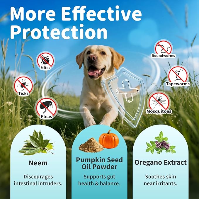 Dog Flea and Tick Support, Natural Herbal Flea &amp; Tick Comfort for Dogs, Flea Liquid Drops Supplement for Dogs with Neem, Oregano, Pumpkin Seed Oil - Beef Flavor, 2 FL.Oz - All Breeds &amp; Sizes