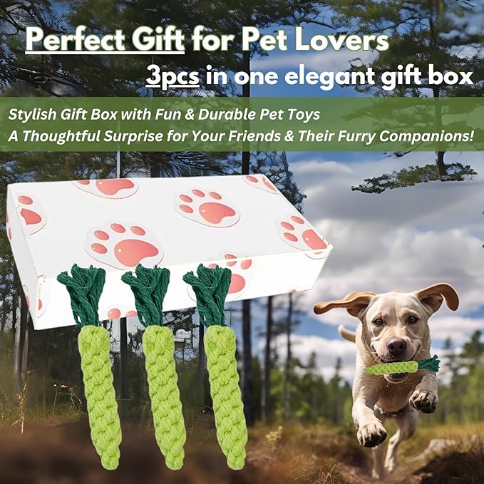 3PCS Green Woven Pet Chew Set, Dog Chew Accessories, Cat Interactive Chews, Safe &amp; Durable Braided Chews for Dogs, Cats &amp; More Pets