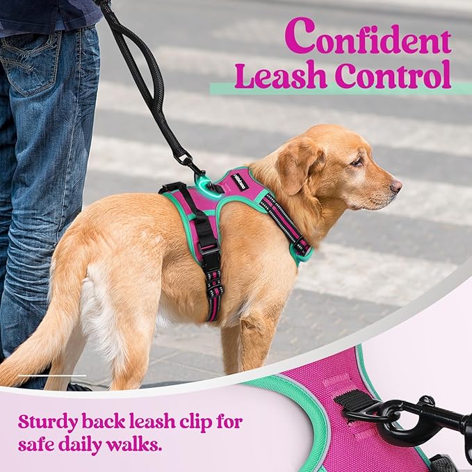 rabbitgoo Dog Harness No Pull with 2 Leash Clips, Adjustable Soft Padded, Reflective Oxford No Choke Pet Vest with Easy Control Handle for Large Dogs, Hot Pink &amp; Turquoise, L