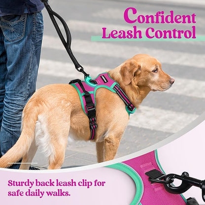 rabbitgoo Dog Harness No Pull with 2 Leash Clips, Adjustable Soft Padded, Reflective Oxford No Choke Pet Vest with Easy Control Handle for Large Dogs, Hot Pink &amp; Turquoise, L