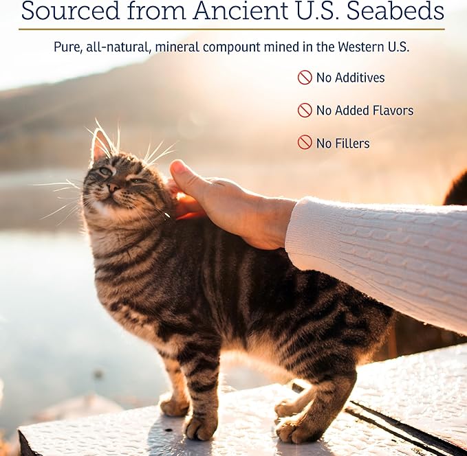 Rx Vitamins Feline Minerals - Taurine for Cat Heart Health - Calcium for Joint Supplement - Immune Support for Cats with Magnesium &amp; Potassium - Skin and Coat Supplement - 8oz
