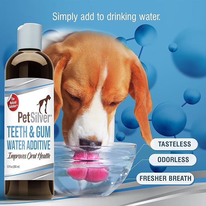 PetSilver Teeth &amp; Gum Water Additive for Dental Care - Pet Breath Freshener - Targets Tartar, Plaque &amp; Eliminates Bad Breath - Dog Oral Care &amp; Cat Teeth Cleaning - No Brushing &amp; Tasteless - 12 fl oz