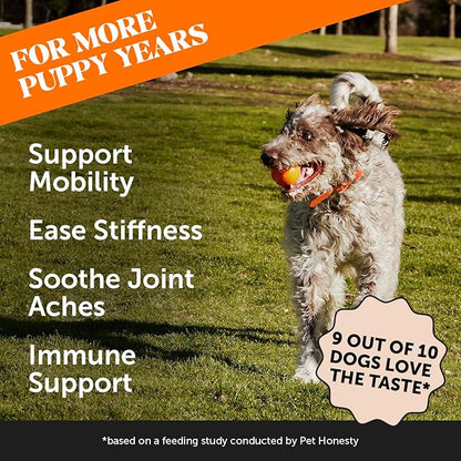 Hip &amp; Joint Turmeric Health - Joint Supplement for Dogs, Omega-3 Fish Oil, Turmeric to Support Overall Health &amp; Ease Stiffness - Advanced Pet Mobility Support - 90 Ct (Pumpkin)