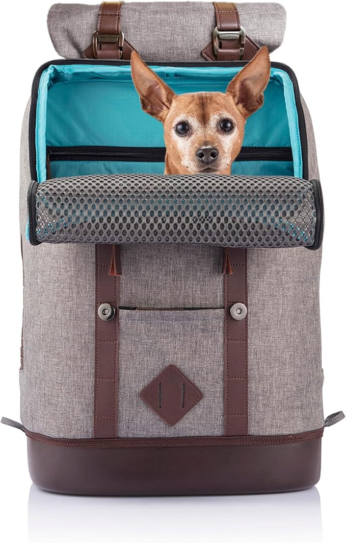 Kurgo Dog Carrier Backpack for Small Pets - Dogs &amp; Cats | TSA Airline Approved | Cat | Hiking or Travel | Waterproof Bottom | G-Train | Ruck Sack | Heather Grey