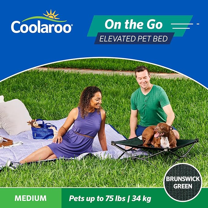 Coolaroo On-The-Go Elevated Dog Bed - Foldable Pop-Up Travel Dog Bed with Breathable, Moisture-Resistant Fabric, Carry Bag Included, Lightweight &amp; Portable, Brunswick Green, Medium