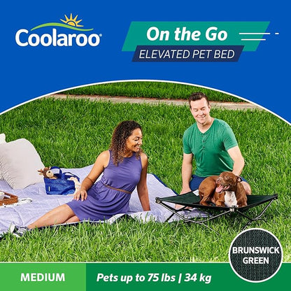 Coolaroo On-The-Go Elevated Dog Bed - Foldable Pop-Up Travel Dog Bed with Breathable, Moisture-Resistant Fabric, Carry Bag Included, Lightweight &amp; Portable, Brunswick Green, Medium