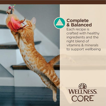 Wellness CORE Tiny Tasters Flaked Adult Wet Cat Food, Natural, Protein-Rich, Grain Free, 1.75-Ounce Pouch, 12 Pack, (Tuna &amp; Salmon)