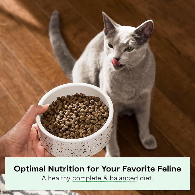 Open Farm, Grain Free Dry Cat Food, High-Protein Kibble for a Complete &amp; Balanced Diet, Non-GMO Fruits &amp; Vegetables, Prebiotic Fibers to Support Digestion, Pasture-Raised Lamb Recipe, 4lb Bag