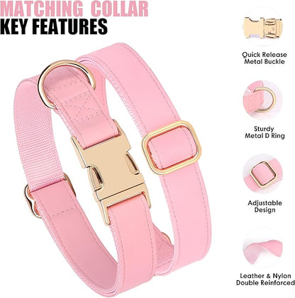 PET ARTIST Soft PU Leather Dog Collar, Bright &amp; Classic Pink Dog Collar with Quick Release Rose Metal Buckle, Adjustable Nylon Padded Durable Pet Collars for Medium Dogs Girl, Neck Fit 13-19"
