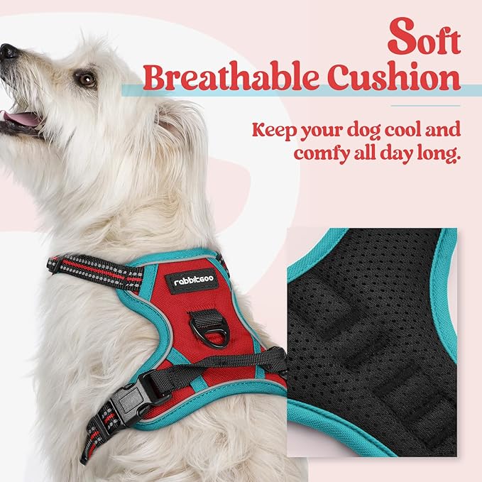 rabbitgoo Dog Harness No Pull with 2 Leash Clips, Adjustable Soft Padded, Reflective Oxford No Choke Pet Vest with Easy Control Handle for Puppy, Red &amp; Teal, XS