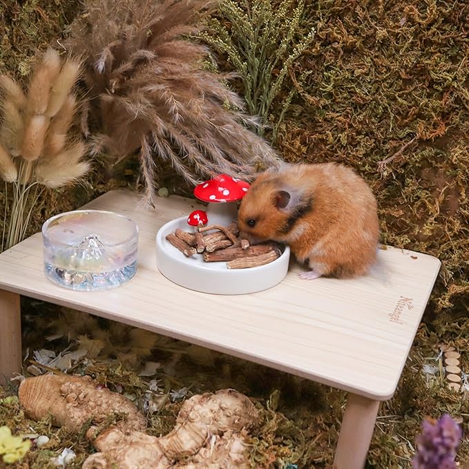 Niteangel Hamster Snack &amp; Treats Toy - Small Animal Natural Treat for Dwarf Syrian Robo Hamsters Gerbils Mice Lemmings Degus or Other Small-Sized Pets