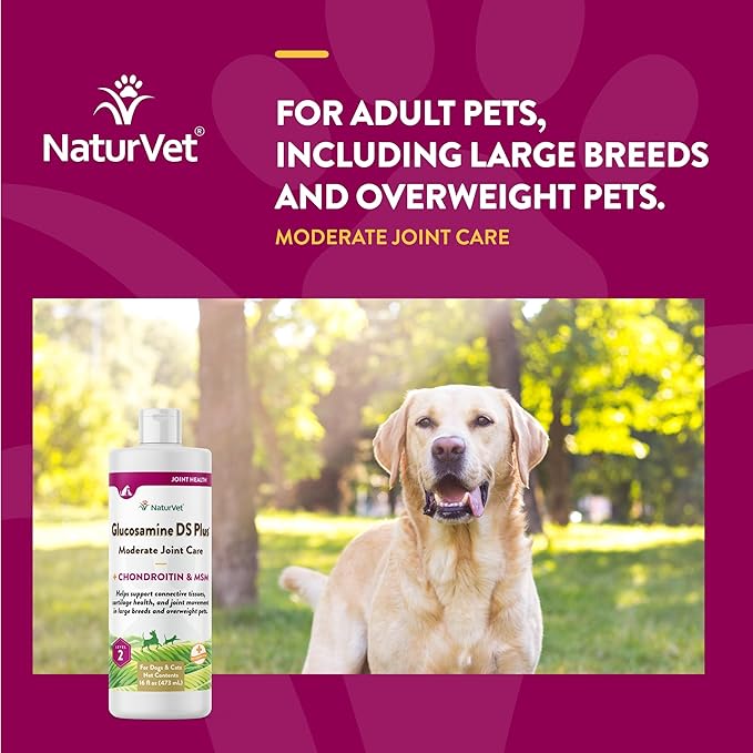 NaturVet Glucosamine DS Plus Hip &amp; Joint Support Liquid Pet Supplement – Level 2 Moderate Care for Dogs &amp; Cats – Includes Glucosamine, MSM, Chondroitin – 16 Oz