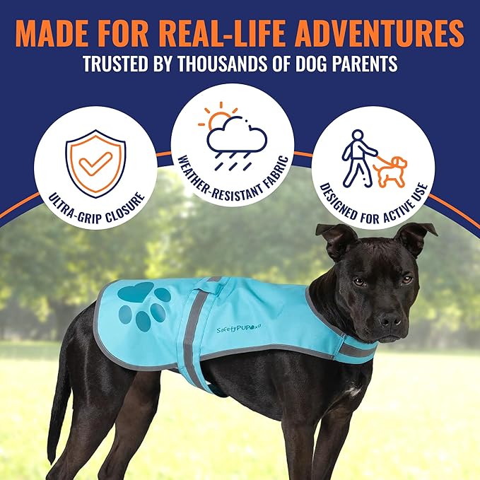 Dog Reflective Vest – Hi-Vis Fluorescent Visibility That Helps to Safeguard Your Pet On/Off Leash in Urban &amp; Rural Areas (Teal, Large)