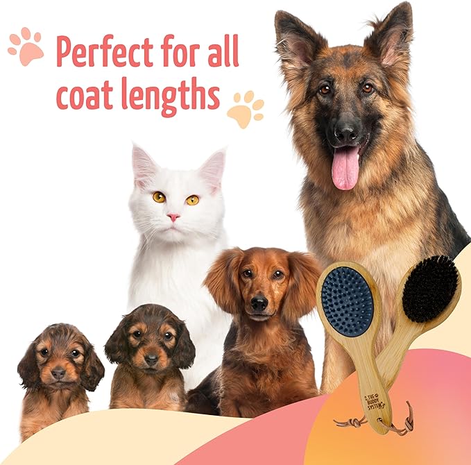 The Buddy System Combo Bristle Pet Brush, 2-in-1 Brush, Durable Rubber Side and Soft Boar Bristle Side - All Pets and Coat Lengths - Top Coat Massage for Cats &amp; Dogs - 1 Pack