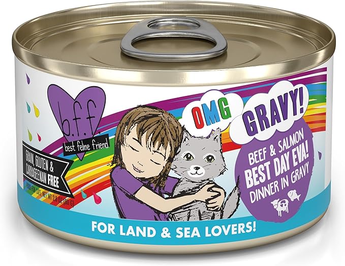 Weruva B.F.F. OMG - Best Feline Friend Oh My Gravy!, Best Day Eva! with Beef &amp; Salmon in Gravy Cat Food, 2.8oz Can (Pack of 12)