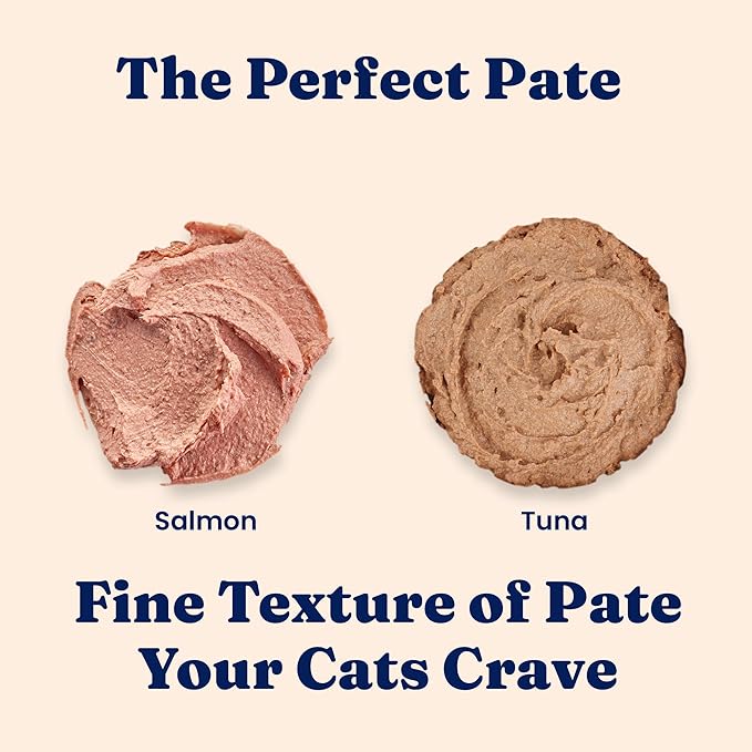 Solid Gold Wet Cat Food Pate in Coconut Oil - Healthy Canned Cat Food Pate w/Real Salmon, Omega Fatty Acids, Vitamins &amp; Minerals - Grain Free &amp; Gluten Free Canned Meals for Cats &amp; Kittens - 24ct/3oz