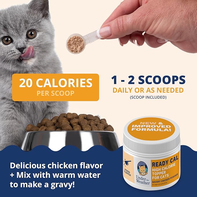 Under the Weather Ready Cal Powder for Cats | High-Calorie Weight Gainer &amp; Appetite Stimulant | Cat Energy Booster Veterinarian-Approved Pet Supplement with Vitamins &amp; Minerals | Chicken Flavor