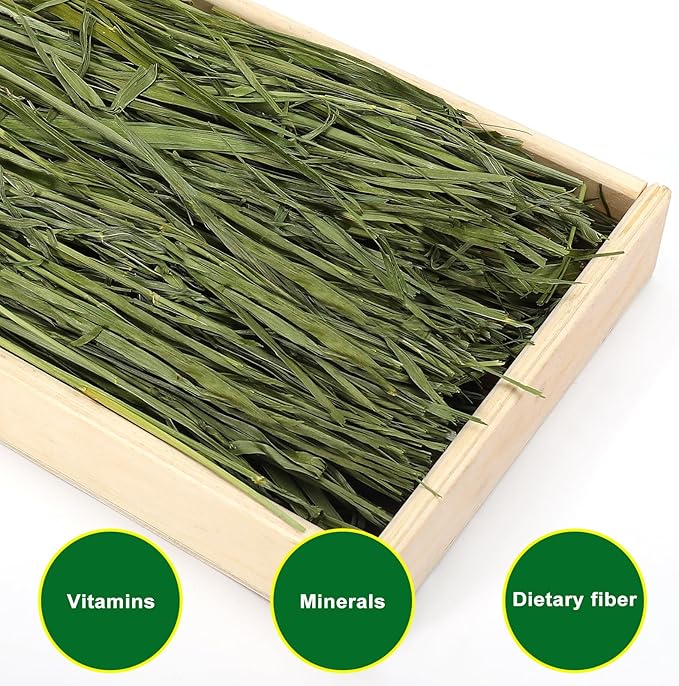 Premium Oat Hay for Pets - Dust Free Natural Green Fresh Pet Food Hay for Rabbits, Guinea Pigs, Chinchillas, Hamsters &amp; Gerbils - 2.2lbs