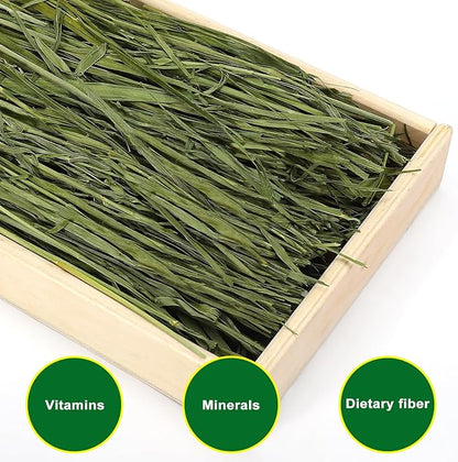 Premium Oat Hay for Pets - Dust Free Natural Green Fresh Pet Food Hay for Rabbits, Guinea Pigs, Chinchillas, Hamsters &amp; Gerbils - 1.1lbs