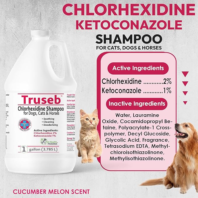 Truseb All Natural Topical Ketoconazole and Chlorhexidine Shampoo for Dogs, Cats &amp; Horses with Aloe Vera Shampoo and Conditioner(Ketoconazole &amp; Chlorhexidine Shampoo, 1 Gallon)