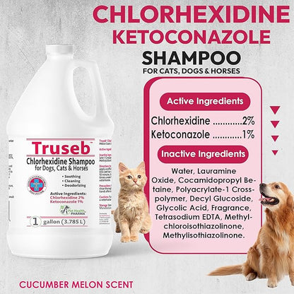 Truseb All Natural Topical Ketoconazole and Chlorhexidine Shampoo for Dogs, Cats &amp; Horses with Aloe Vera Shampoo and Conditioner(Ketoconazole &amp; Chlorhexidine Shampoo, 1 Gallon)