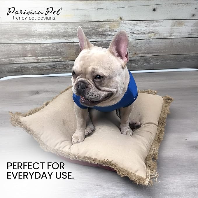 Parisian Pet Embroidered &